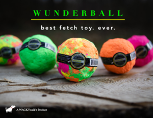 Wunderball Dog Toy