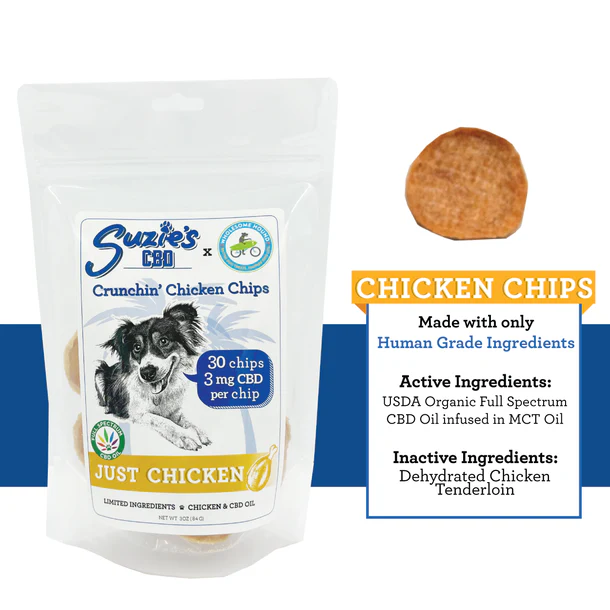 CHICKEN_CHIP_PRODUCT_PANEL_610x_crop_center
