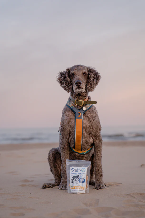 DSC01647_610x_crop_center