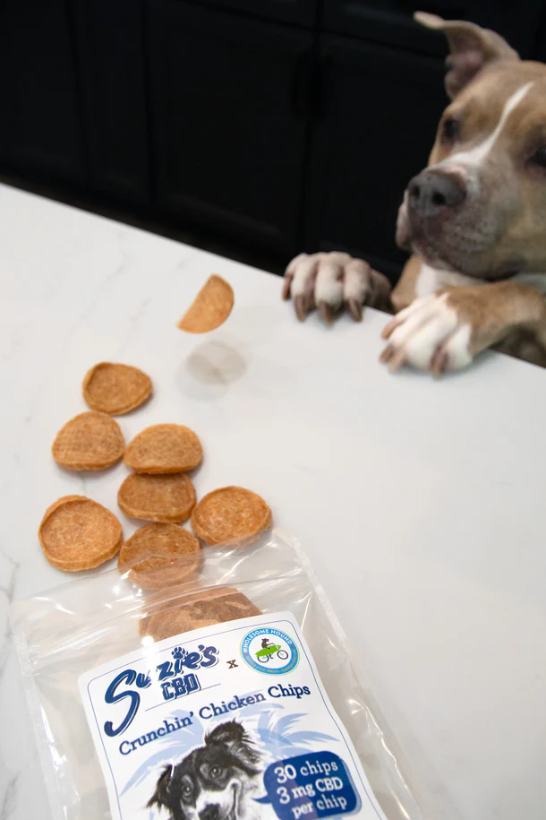 DSC_8117_610x_crop_center