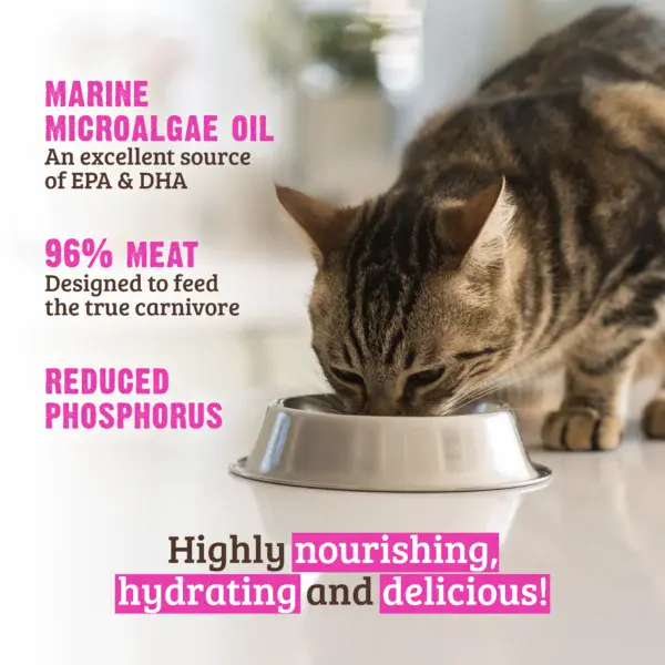 Cat_ReducedPhosphorus_Turkey_3