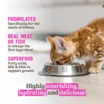 RAWZ_WebsiteCarousel_Cat_Kitten_BeefBeefLiver_LIFESTYLE--150x150